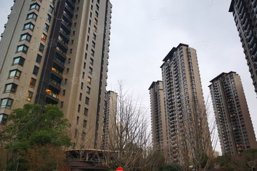 仁恒公園世紀優點 不足,仁恒公園世紀怎么樣,仁恒公園世紀周邊房產中介經紀人評價